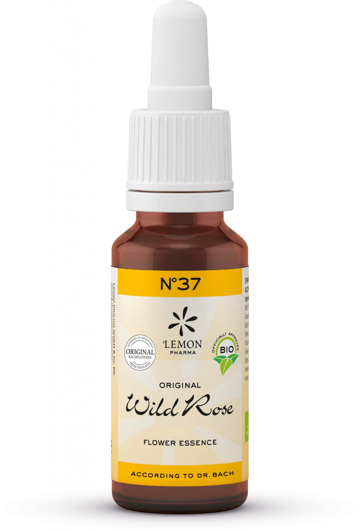 WILD ROSE - HONDSROOS
