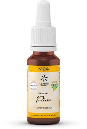 PINE - DEN